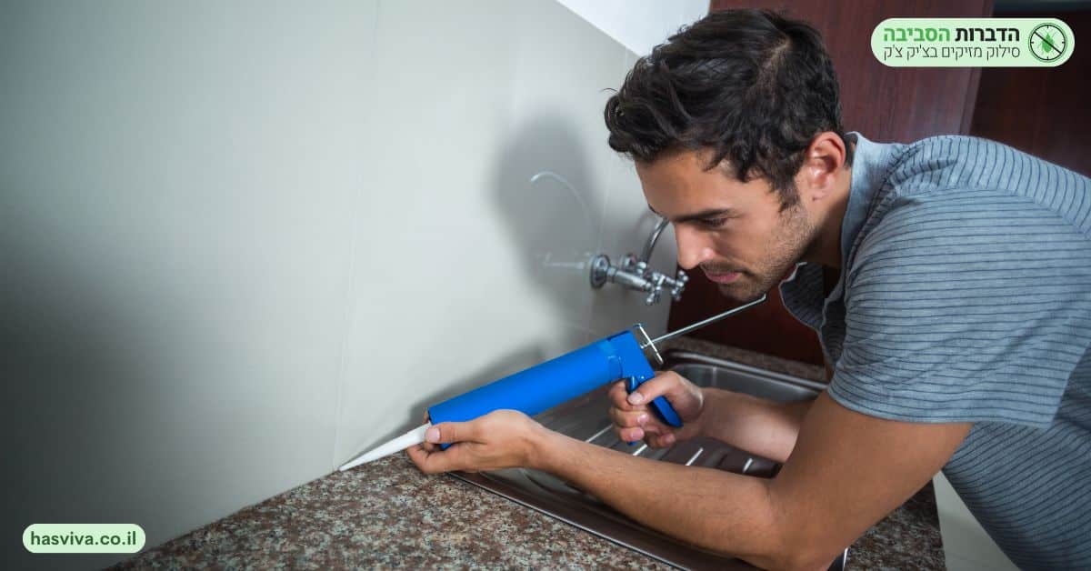 הדברת תיקן פסים