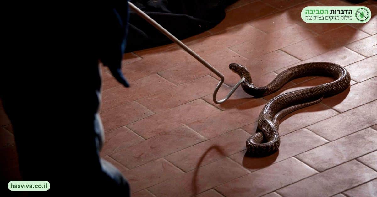 איך מתמודדים עם נחש בגינה?