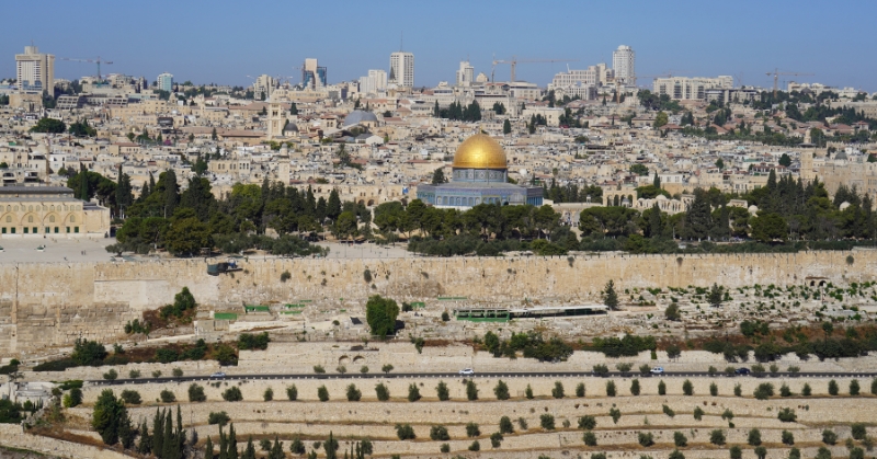 חשוב לדעת נפקדות בצה"ל